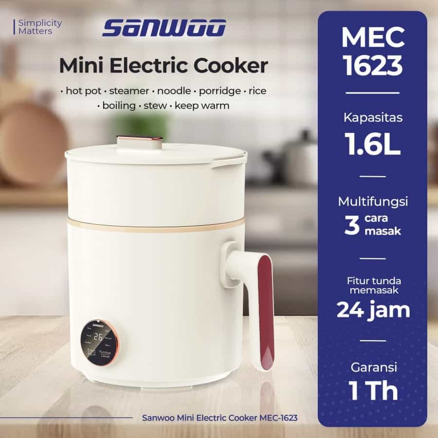 Mini Electric Cooker